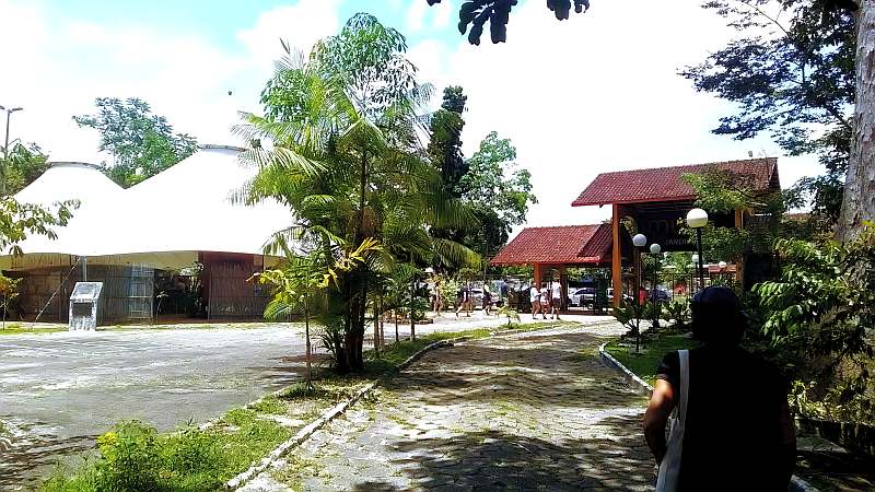 Turismo no Amazonas e protocolos de biossegurança têm live do Sesc