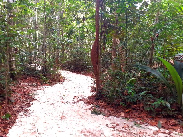 Musa inaugura trilha e comemora aniversário de Manaus