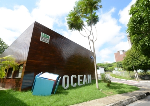 Samsung anuncia painel virtual grátis de inteligência artificial em Manaus