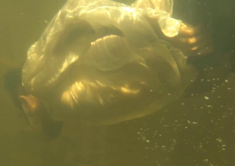 Espetáculo sobre relações durante a pandemia acontece em Manaus