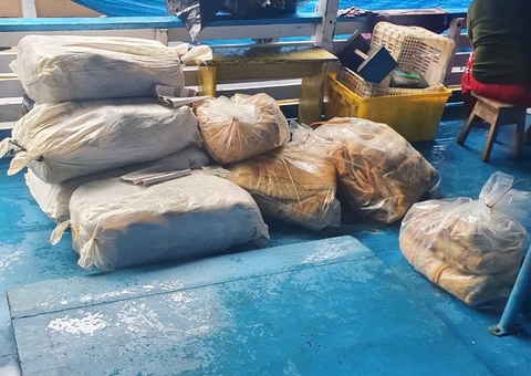 Quase 2 toneladas de pirarucu ilegal são apreendidas em Manaus