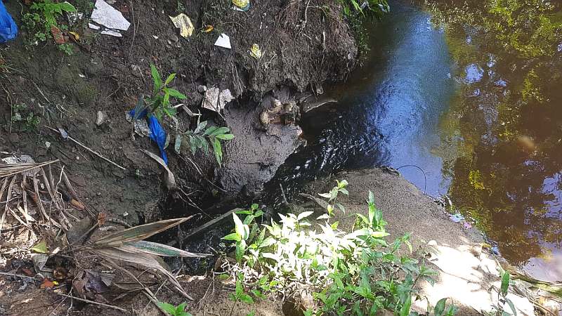Vazamento de óleo contamina igarapé na zona Sul de Manaus