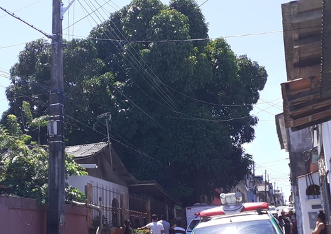Homem morre ao cair de árvore enquanto pegava manga em Manaus 