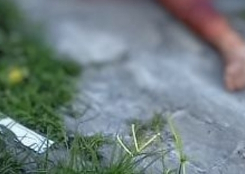 Homem quebra a cabeça ao cair de árvore em Manaus