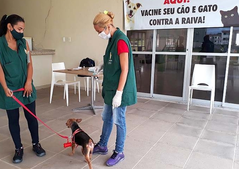 Controle de zoonoses promove vacinação antirrábica em Manaus
