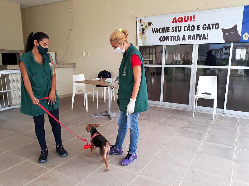 Controle de zoonoses promove vacinação antirrábica em Manaus