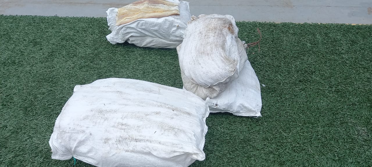 Mais de 200 kg de pescado ilegal são apreendidos em barco no Amazonas