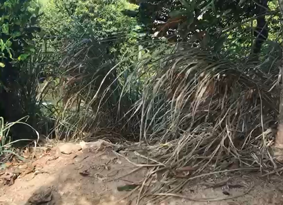 Criança é atirada na parede e jogada em buraco por mãe e madrasta, diz avó