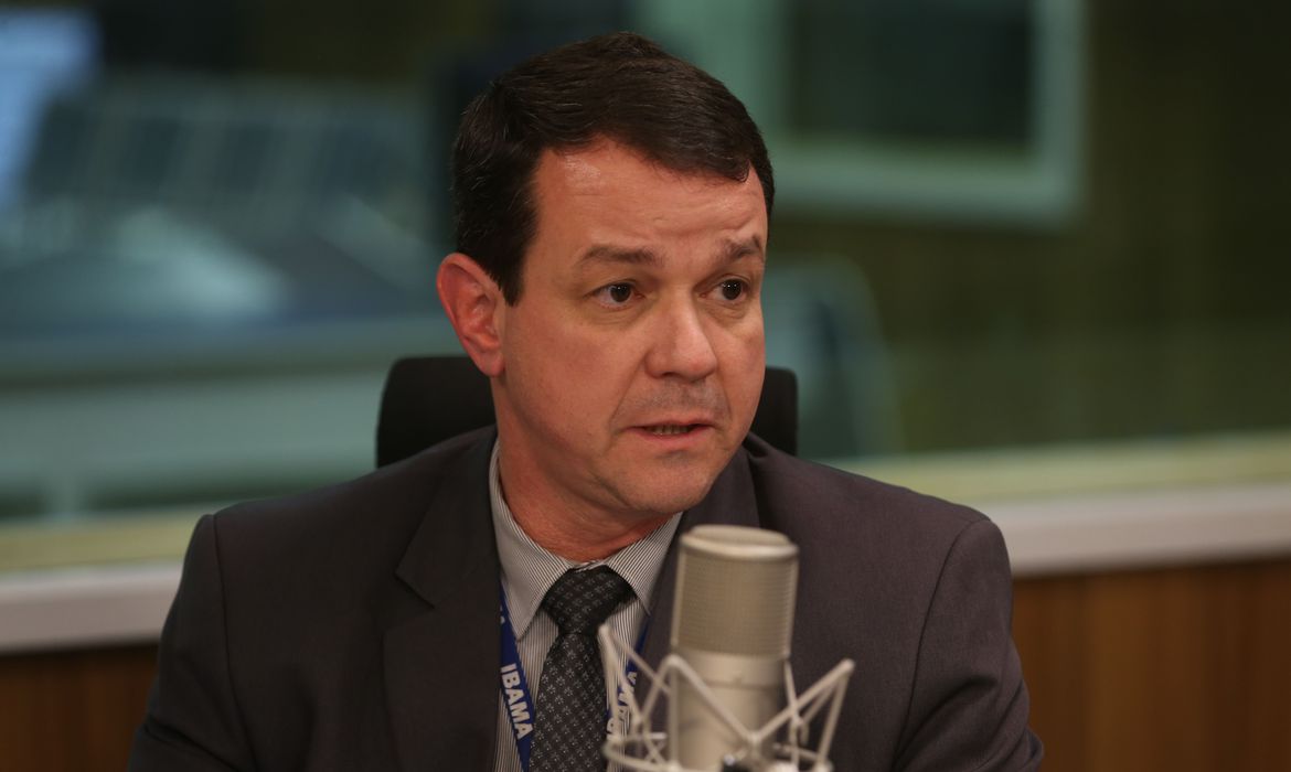 Ibama aplicou mais de 3 mil autos de infração contra desmatamento este ano