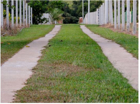 Justiça do Amazonas flexibiliza regras para servidão de passagem