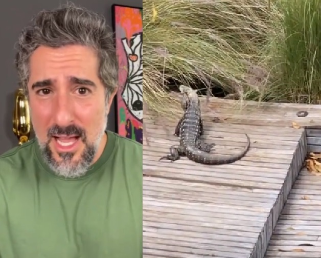 Marcos Mion se assusta com lagarto gigante no quintal da sua mansão