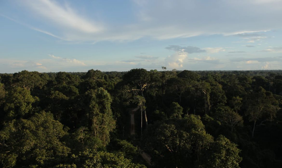 PF deflagra operação contra crimes ambientais no Acre e Amazonas