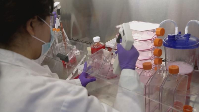 Vereador quer barreira sanitária para impedir variante indiana em Manaus