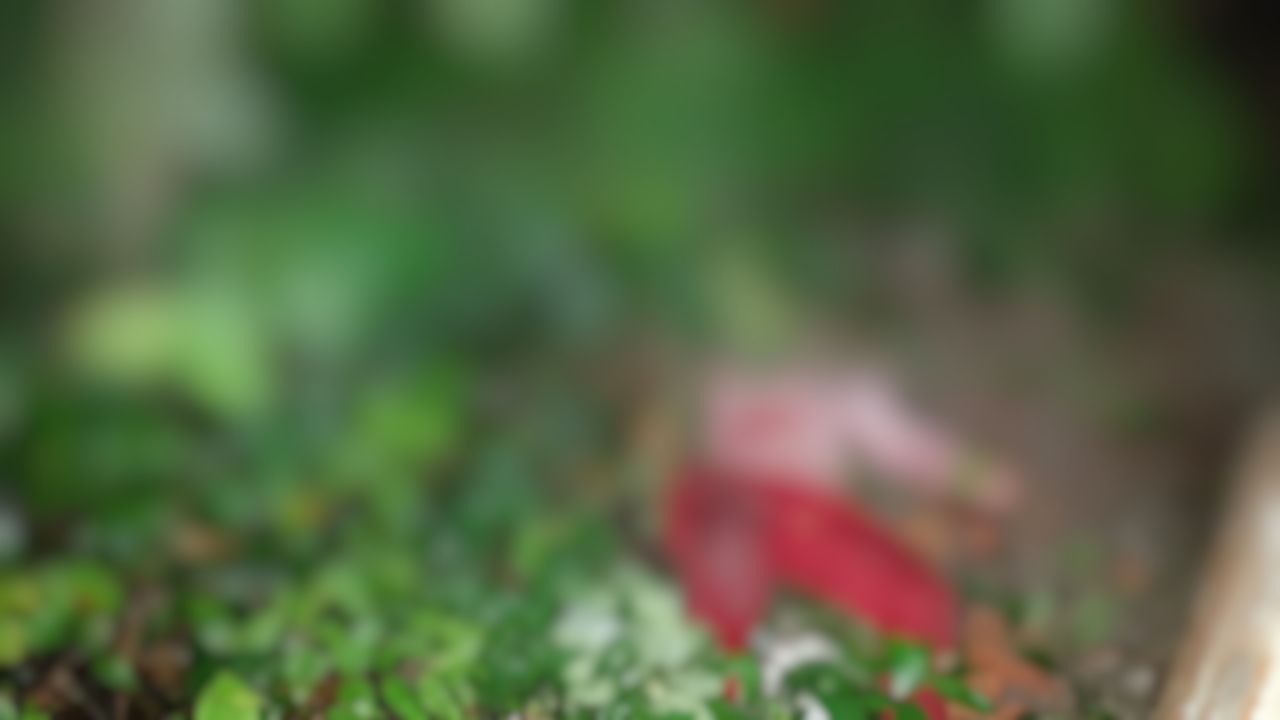 Mulher é morta a tiros e marido baleado no Ramal do Brasileirinho 