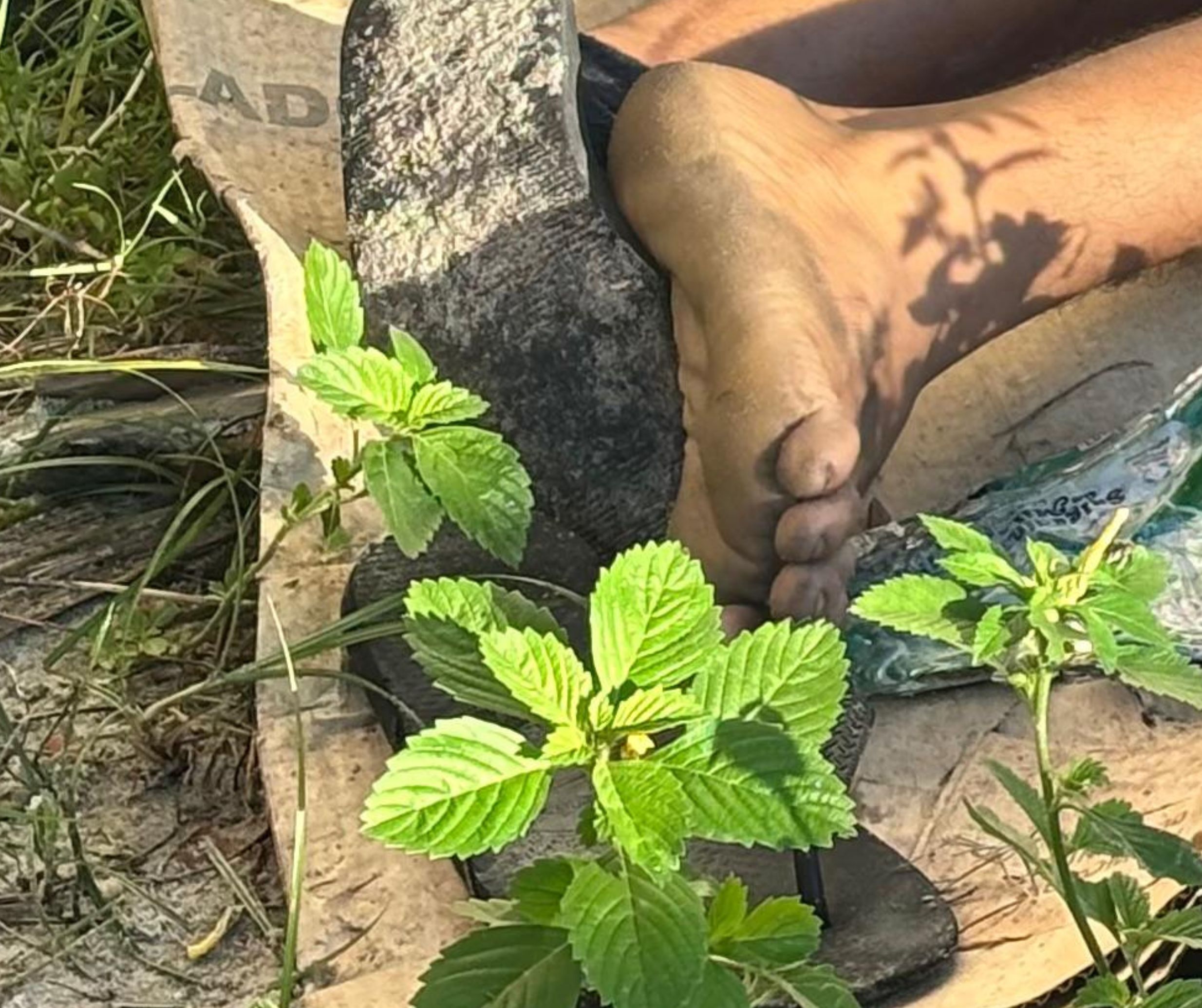 Tiroteio deixa uma pessoa morta no Jorge Teixeira