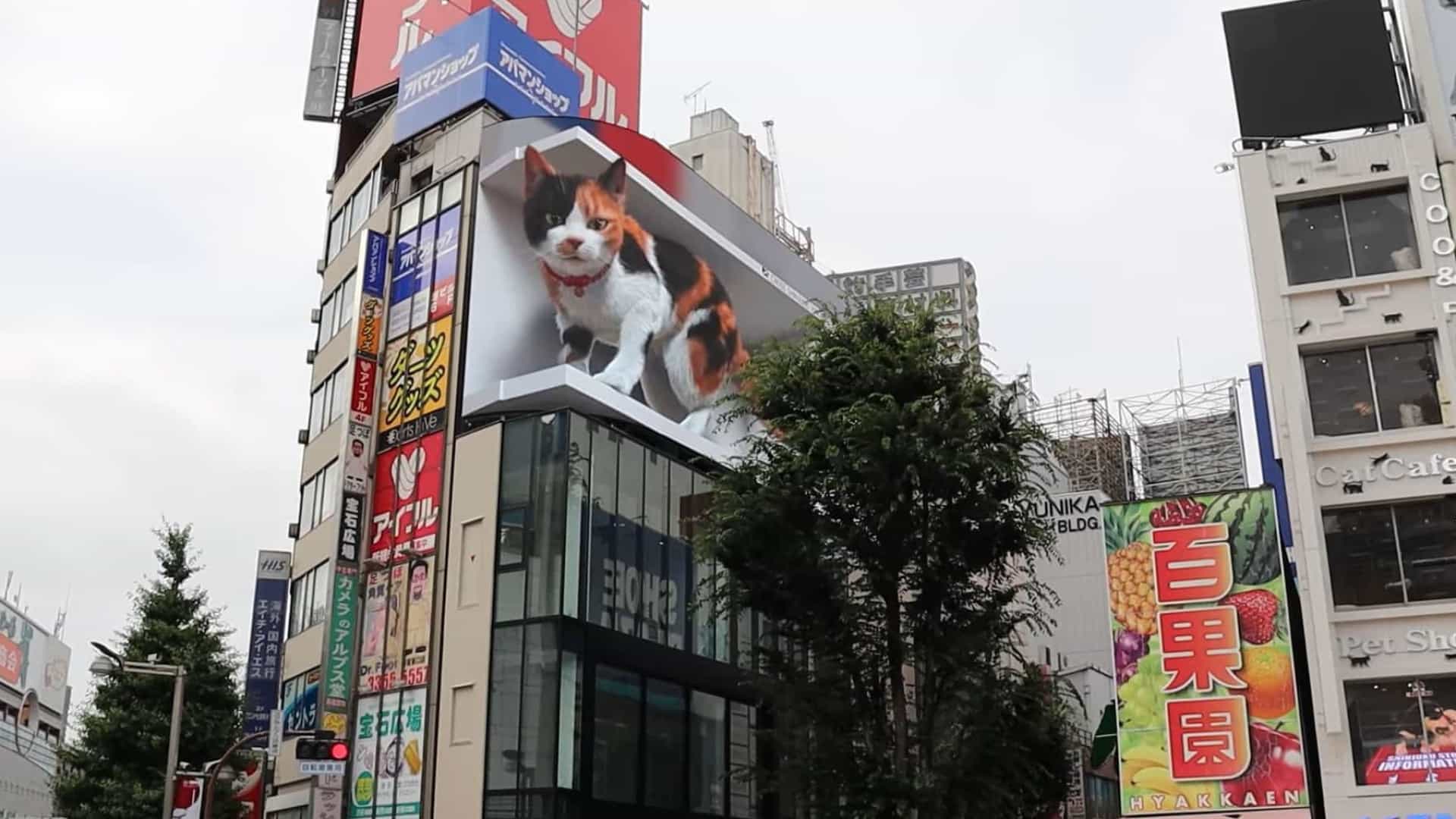 Vídeo mostra gato gigante "invadindo" painel de publicidade no Japão