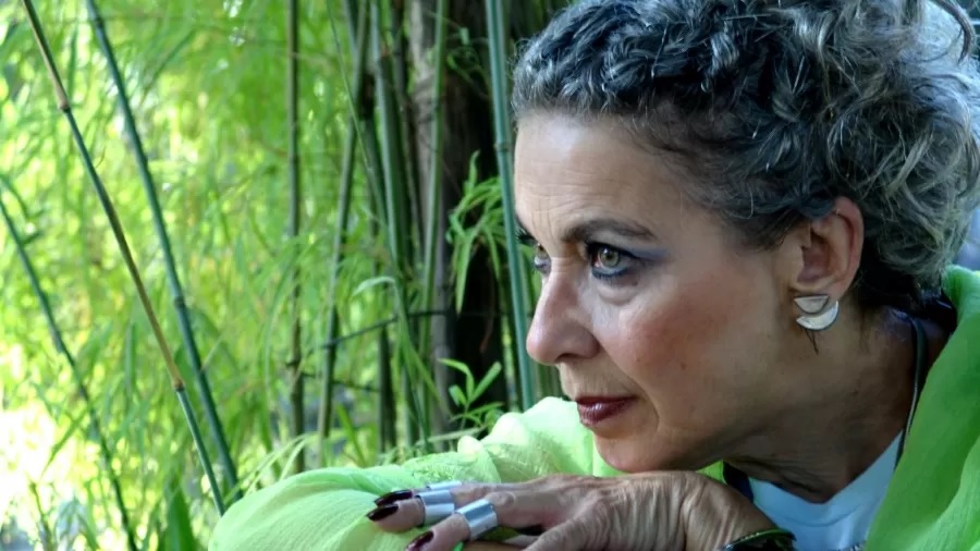 Morre aos 73 anos a atriz Neila Tavares 