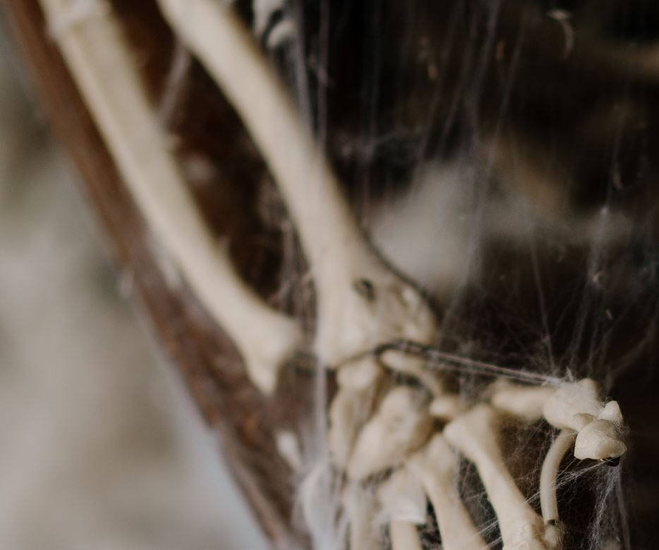 Populares encontram ossada humana em ramal no Amazonas