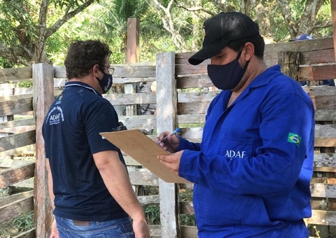 Febre aftosa: pecuaristas têm até outubro para declarar vacinação no AM
