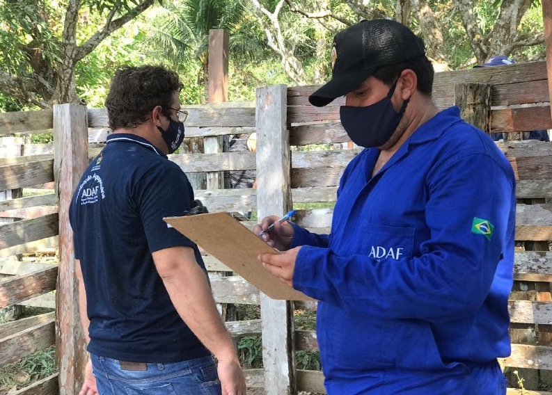 Febre aftosa: pecuaristas têm até outubro para declarar vacinação no AM