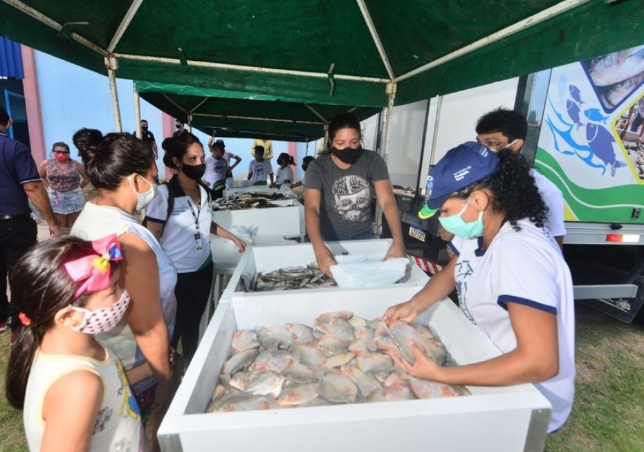 Duas toneladas de pescado serão vendidas em Manaus com preços acessíveis