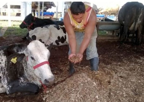 Virtual: Feira agropecuária do Amazonas começa na segunda-feira, dia 28