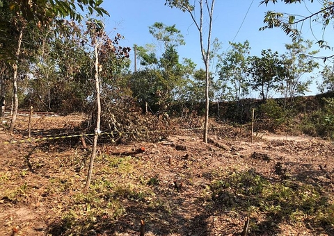 Cai número de invasões a áreas preservadas em Manaus