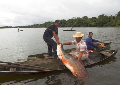 Bioeconomia é tema de seminário virtual durante 42ª Expoagro