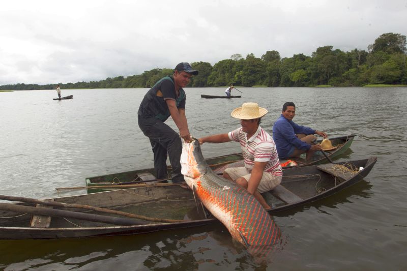 Bioeconomia é tema de seminário virtual durante 42ª Expoagro