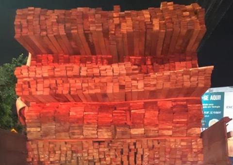 Homem de 59 anos é detido com madeira ilegal em rodovia no Amazonas