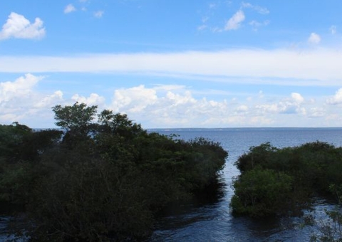 Em 18 anos, bioma Amazônia teve perdas de 270 mil km², diz IBGE