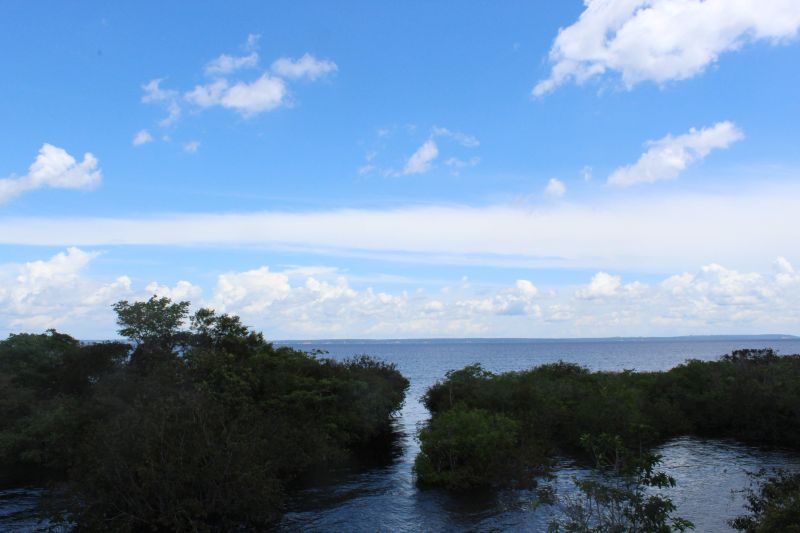 Em 18 anos, bioma Amazônia teve perdas de 270 mil km², diz IBGE