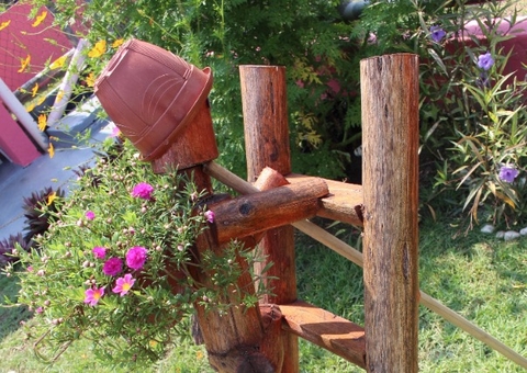 Detentas montam horto em presídio e poderão trabalhar com remuneração