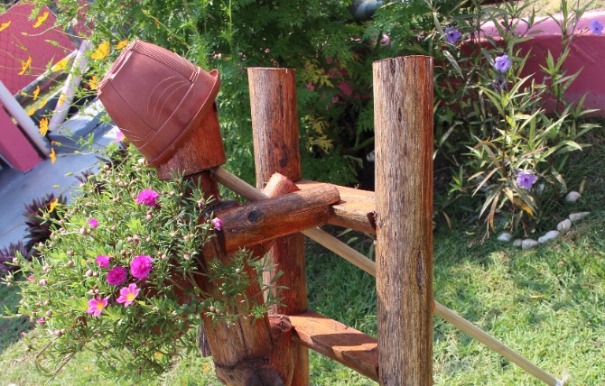 Detentas montam horto em presídio e poderão trabalhar com remuneração