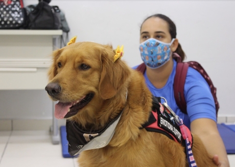 Terapia com cães é retomada para crianças PcDs em Manaus 