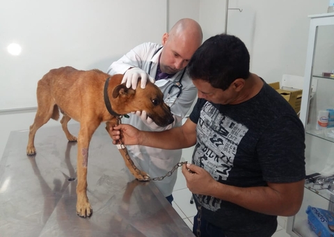 Novembro Azul Pet promove ação com triagem e exames gratuitos em Manaus