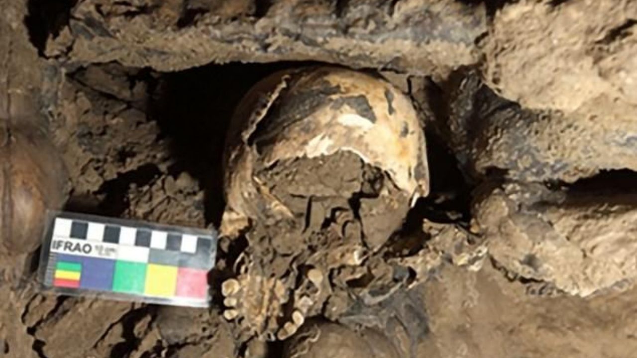 Mistério da cabeça decapitada há 5.600 anos começa a ser desvendado