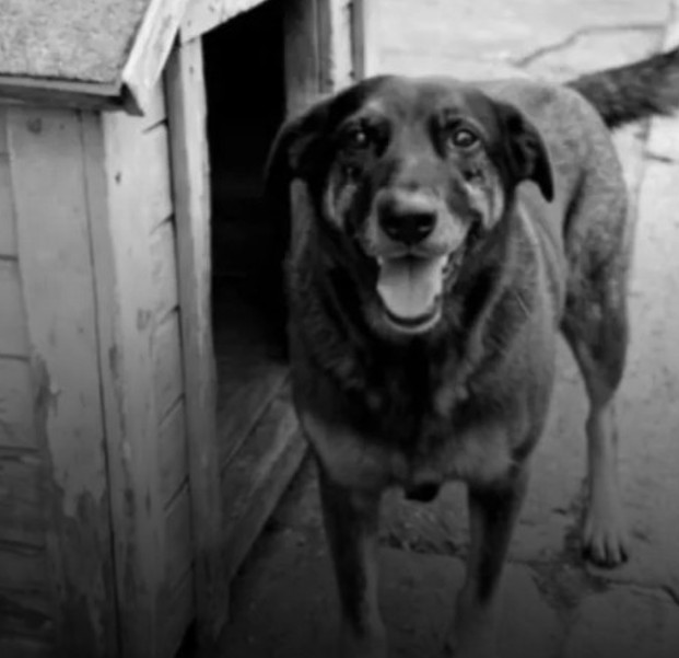 Reviravolta: Adolescente deixa de ser suspeito e vira testemunha na morte d