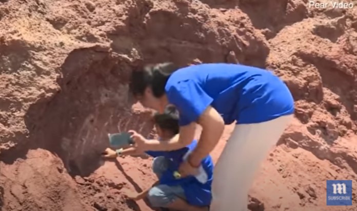 Ovo de dinossauros de 66 milhões de anos é encontrado por criança na China