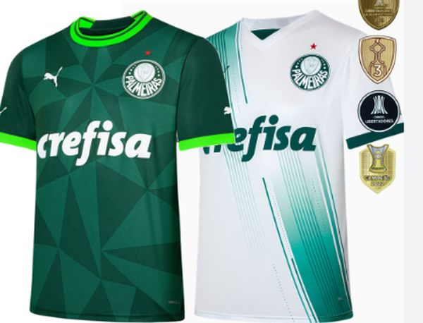 Abel Ferreira doará receitas de camisa para vítimas das chuvas em São Paulo