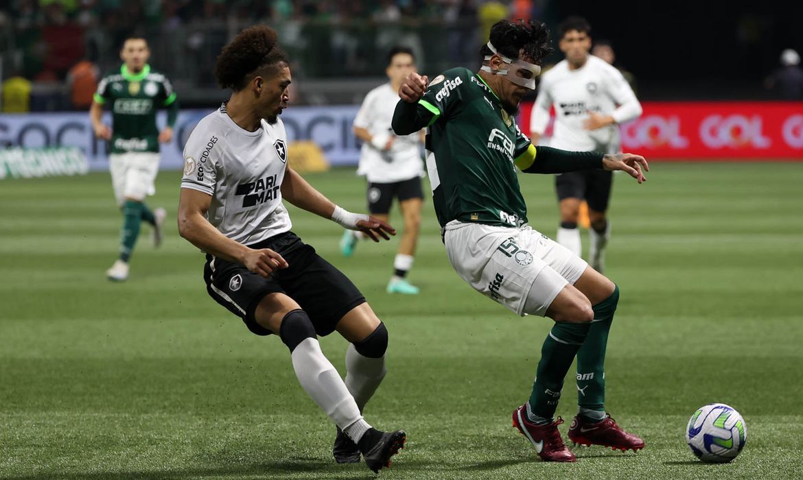 Em busca da rota de vitórias, líder Botafogo recebe Palmeiras