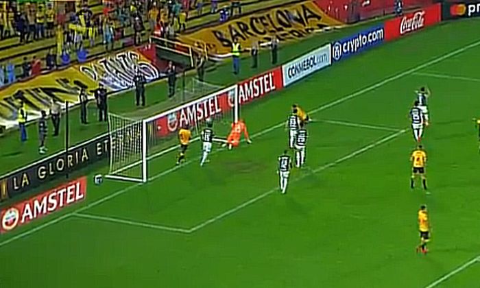 Baixo aproveitamento do Palmeiras em pênaltis complica até Weverton