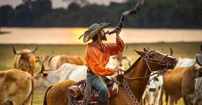 Entenda por que 'Pantanal' virou fenômeno jovem com revolução sexual e memes
