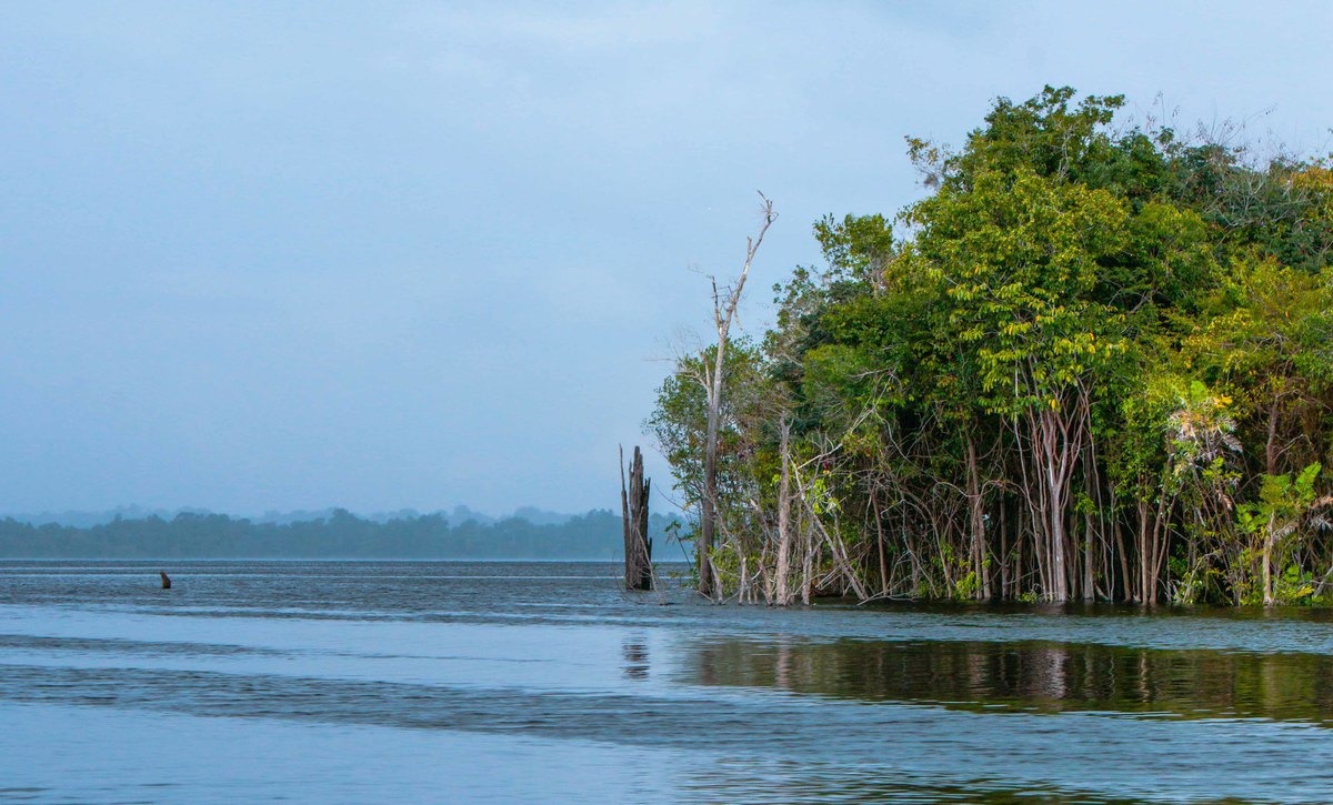 Amazonas é escolhido entre os 100 lugares incríveis do Brasil