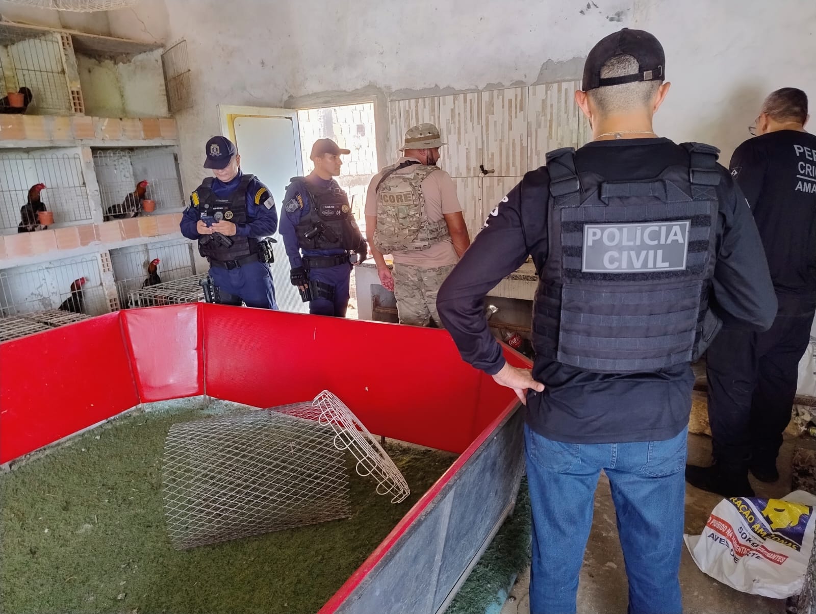 Polícia prende duas pessoas por maus-tratos e resgata animais em Manaus