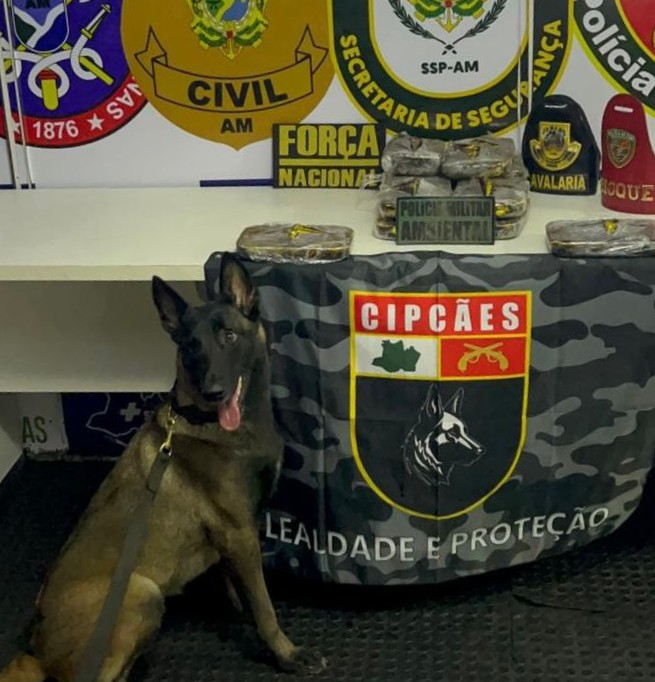 Tripulante de barco é preso com 13 quilos de cocaína em Coari