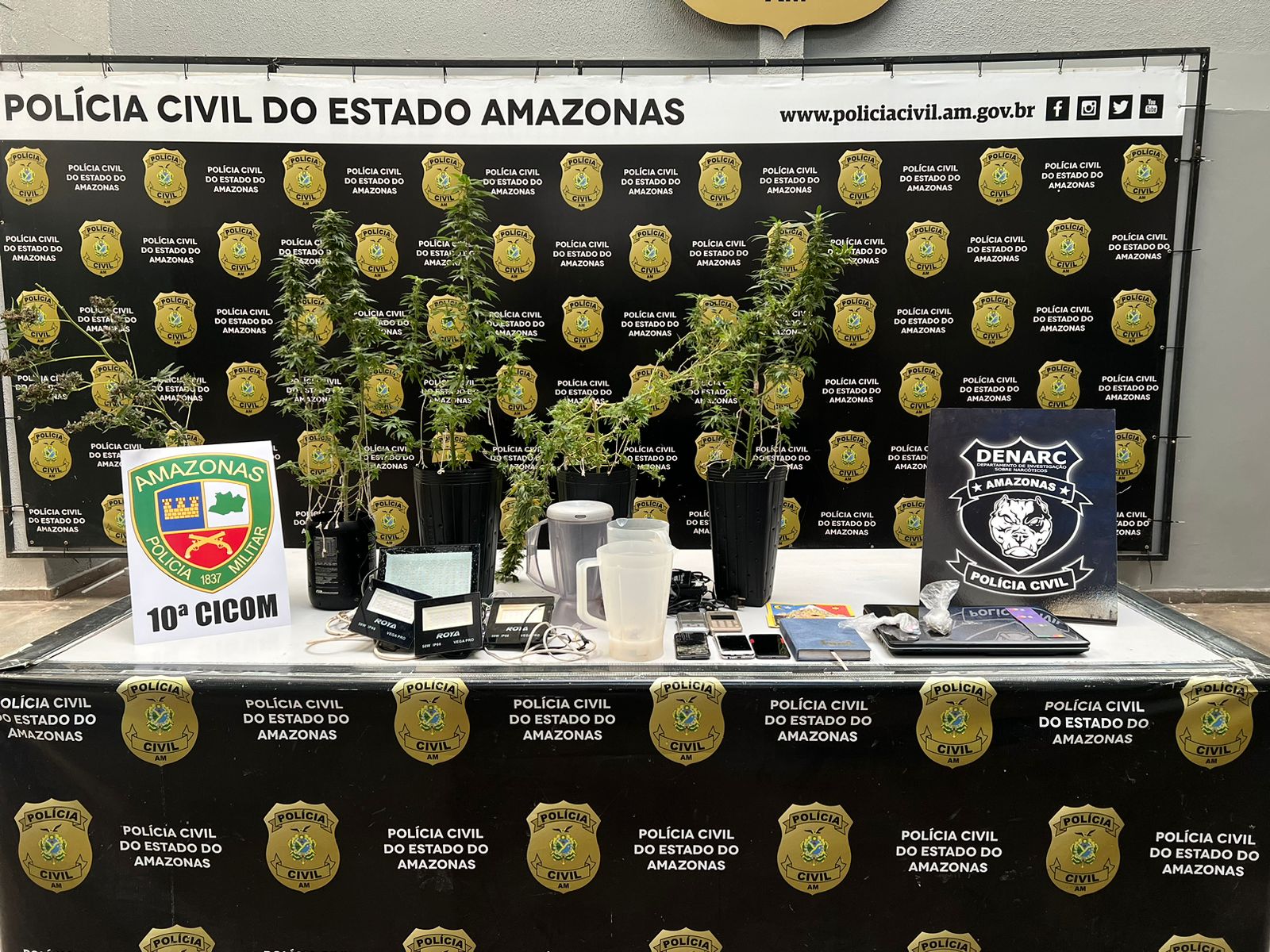 Homem que mantinha plantação de maconha em casa é preso em Manaus