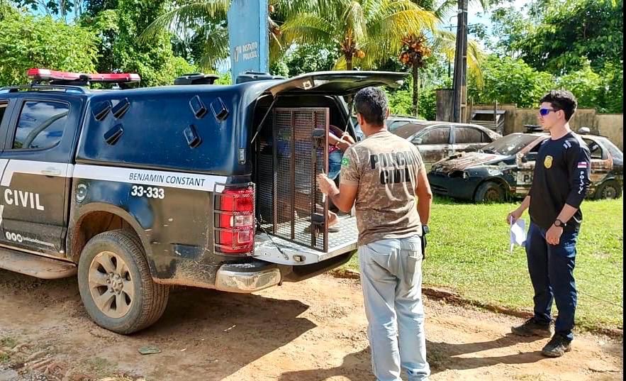 Homem é preso por tentar matar idoso durante tentativa de furto no Amazonas