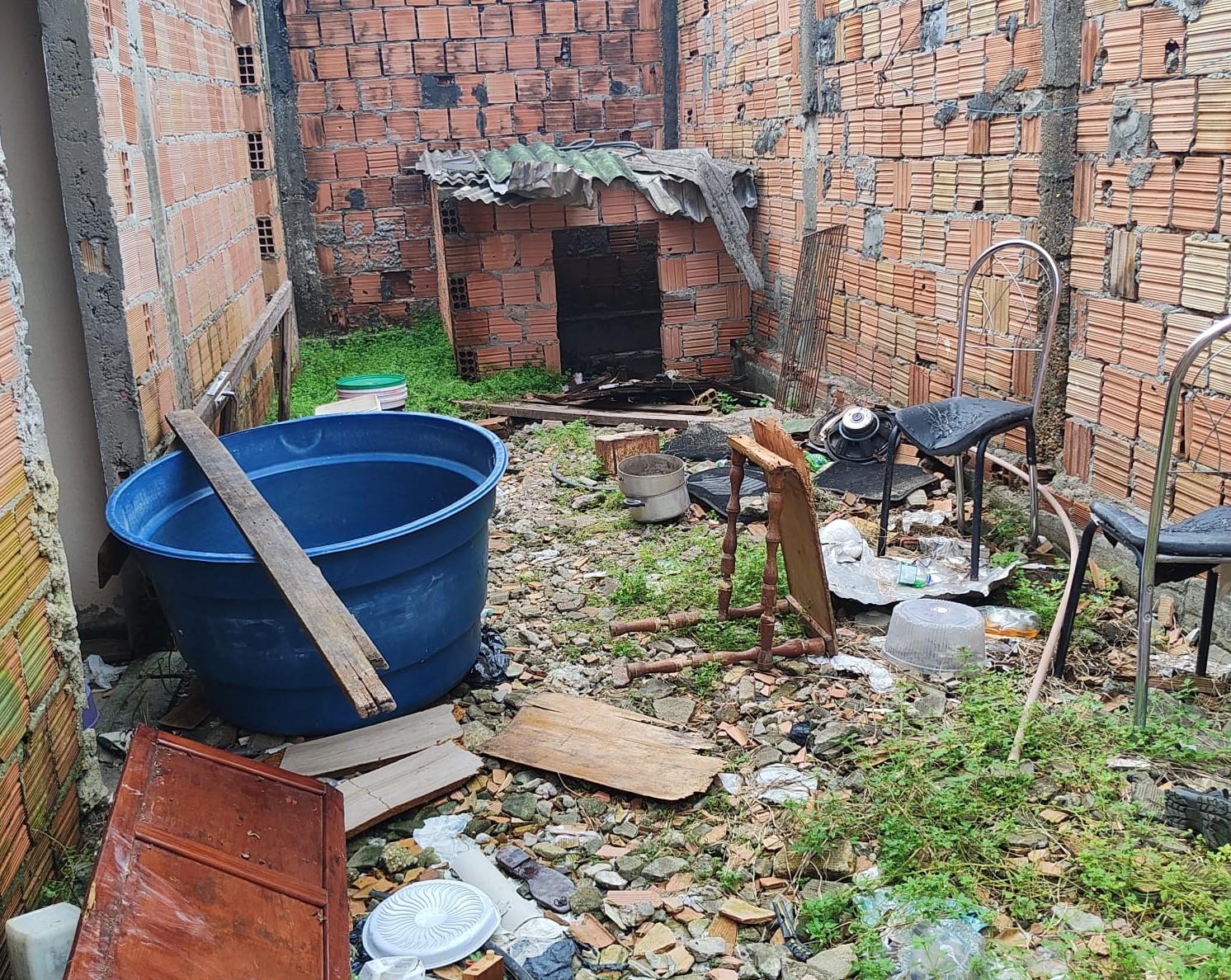 Homem é preso por maus-tratos a dois cachorros Pitbull em Manaus