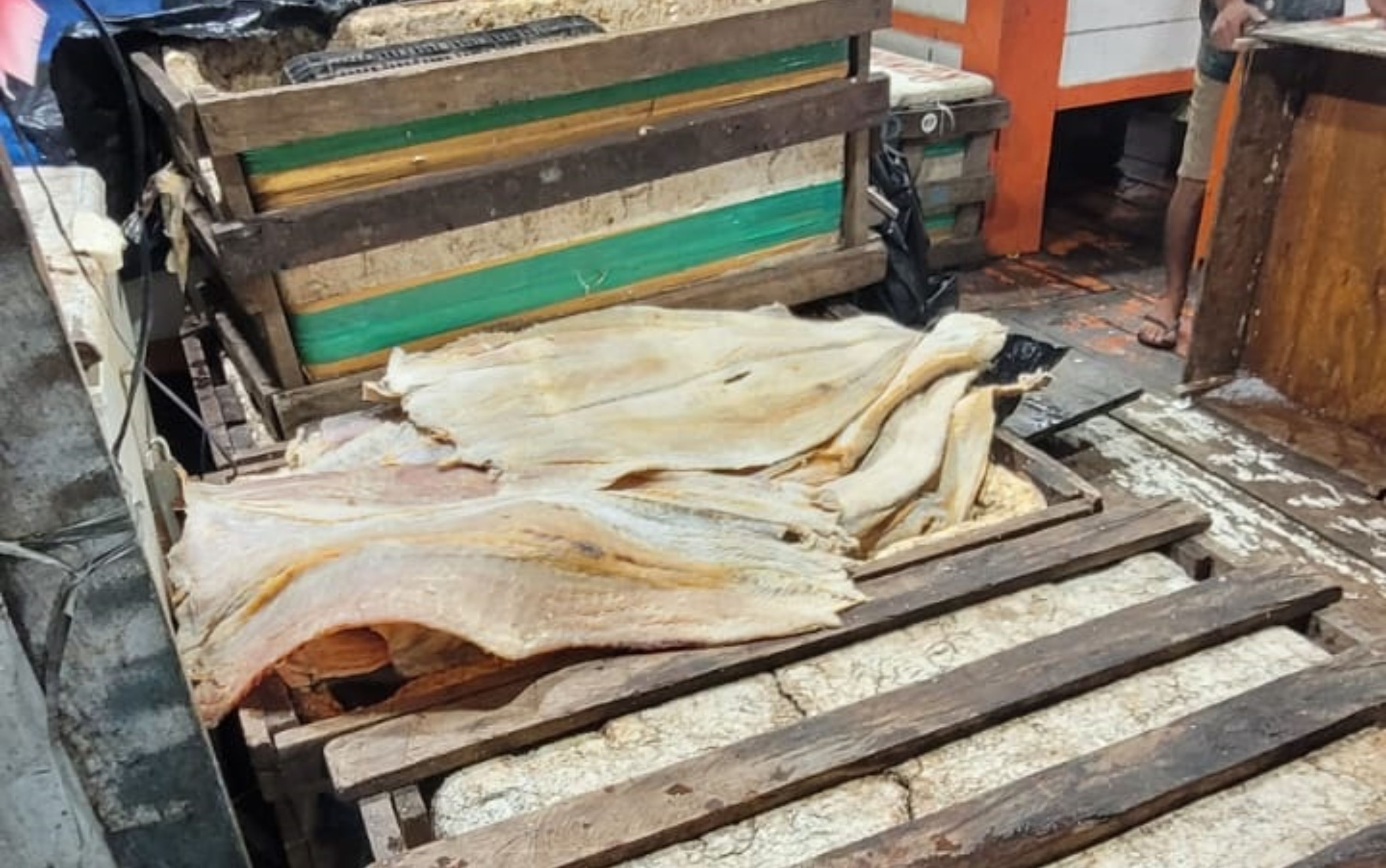 Dupla foge da PM e abandona cerca de 300 kg de pescado ilegal na Feira da Panair